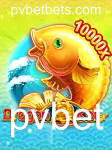 Uma Imersão no Mundo de DragonKoi: O Novo Fenômeno dos Cassinos Online